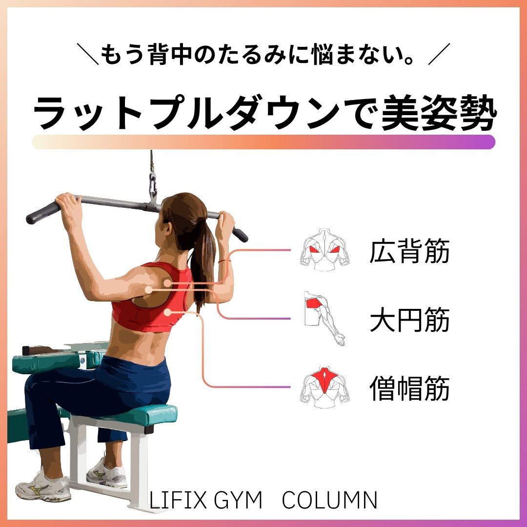 ラットプルダウンの効果と正しいやり方｜初心者・女性も安心！部位・重量・代用方法も解説（リフィックスジム）